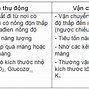 Vận Chuyển Chủ Động Thứ Phát Là Gì